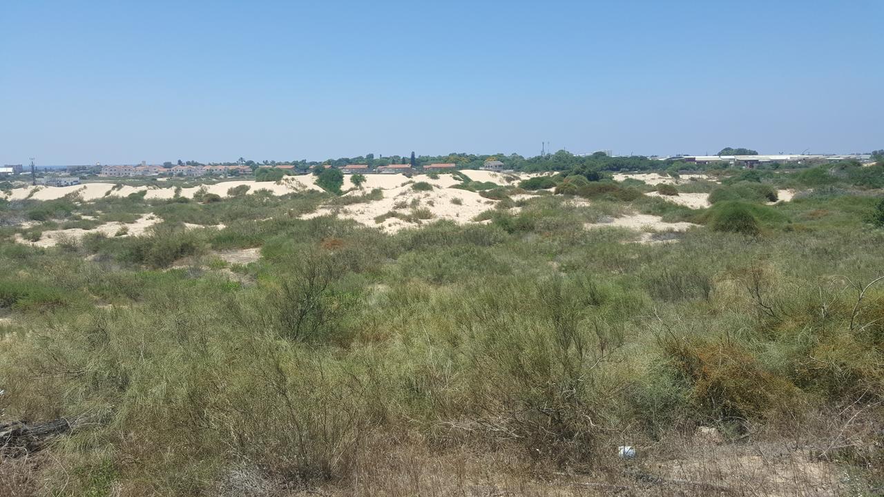 Neot Golf Caesarea Garden Apartment Екстериор снимка